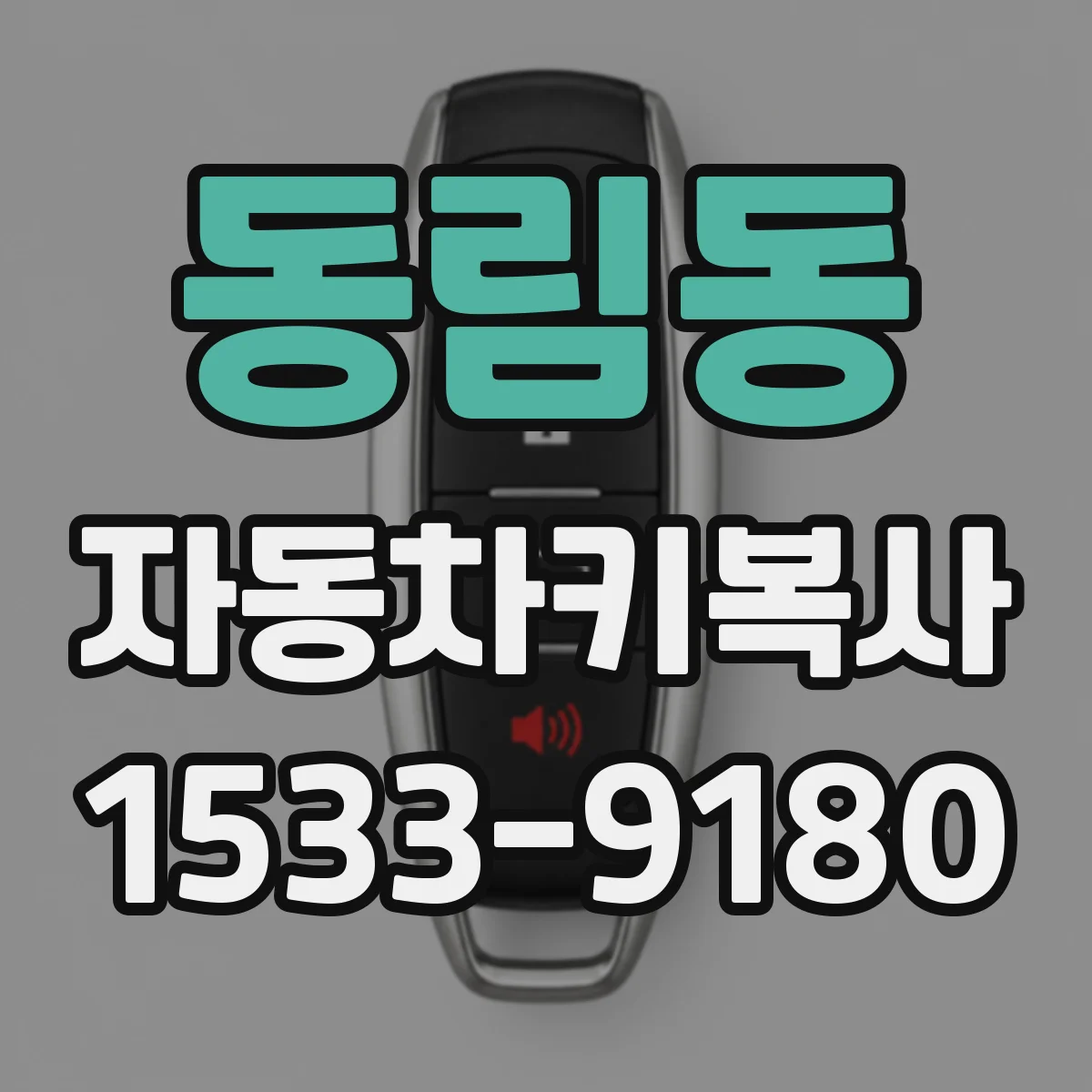 동림동 자동차키복사