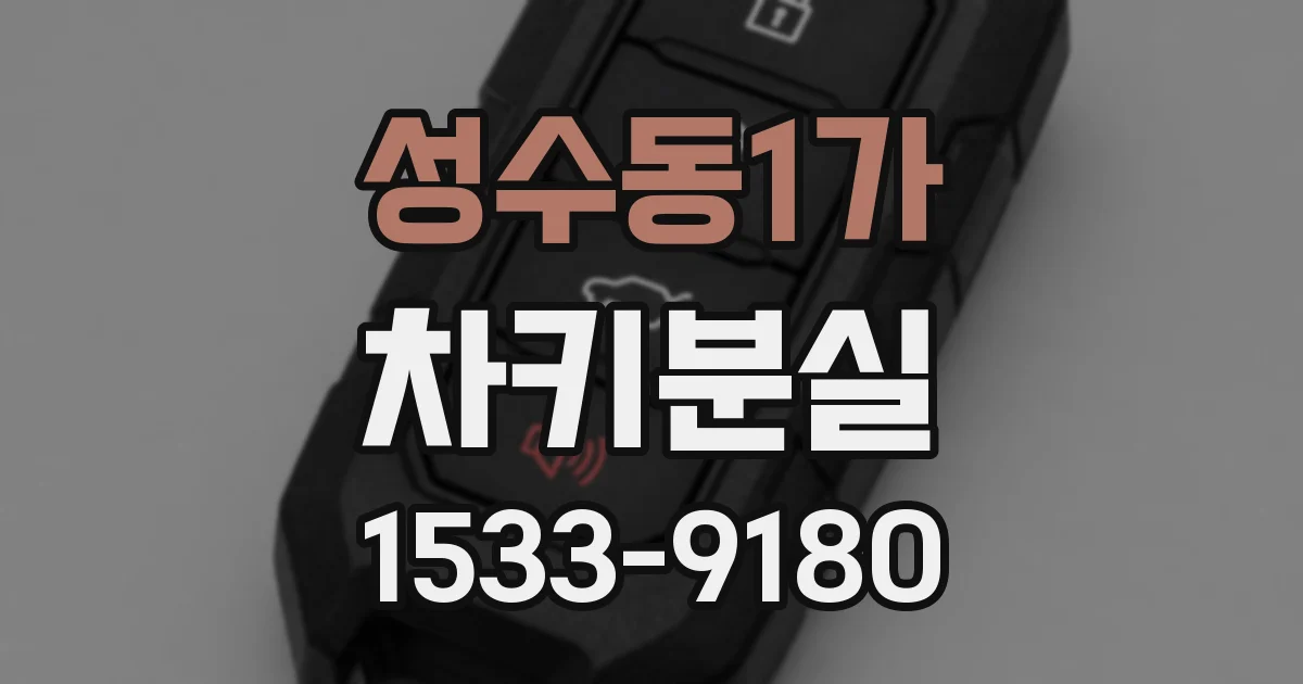 성수동1가 차키분실