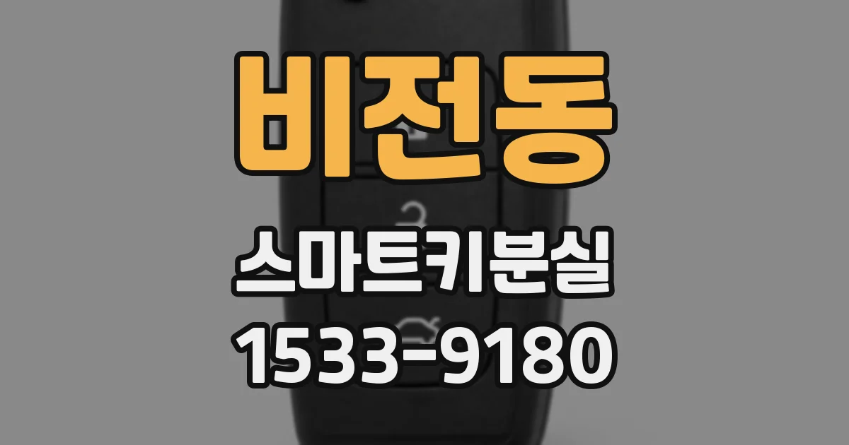 비전동 스마트키분실