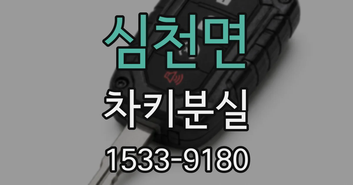 심천면 차키분실