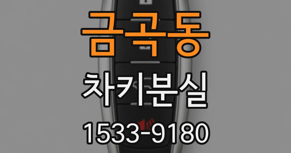 금곡동 차키분실
