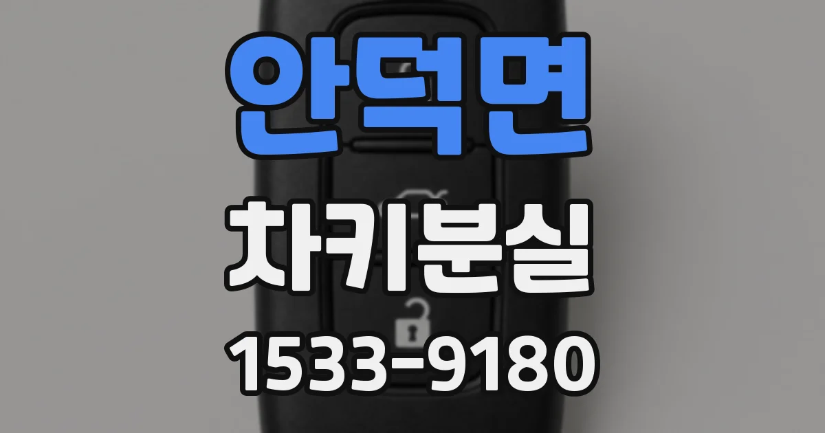 안덕면 차키분실