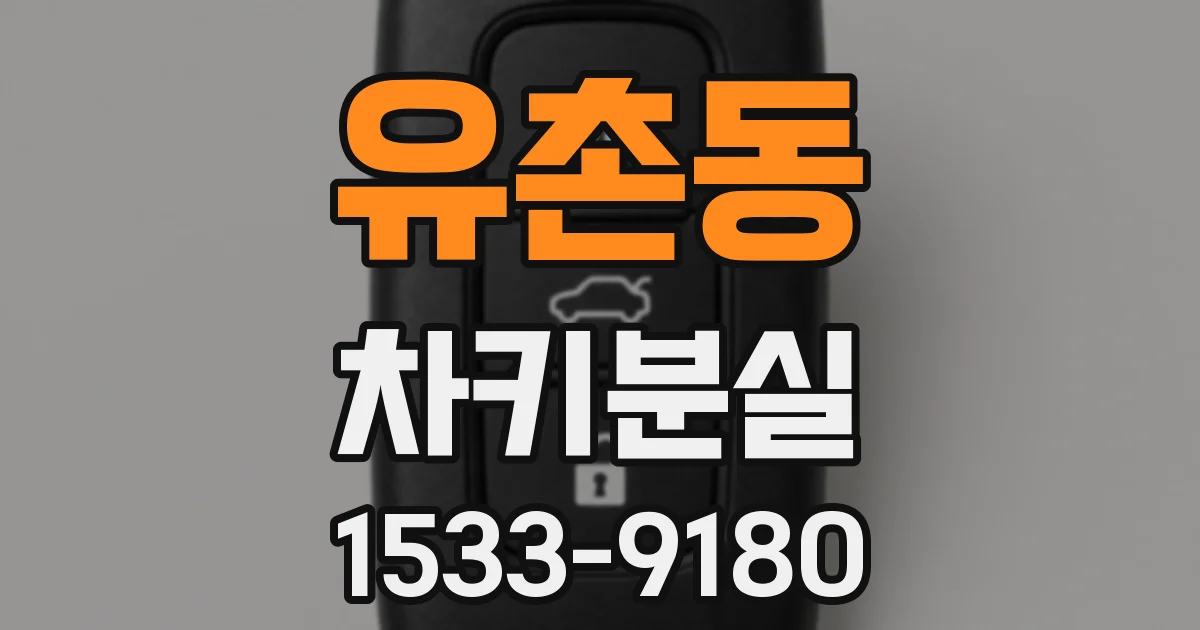 유촌동 차키분실