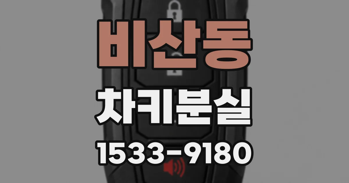 비산동 차키분실