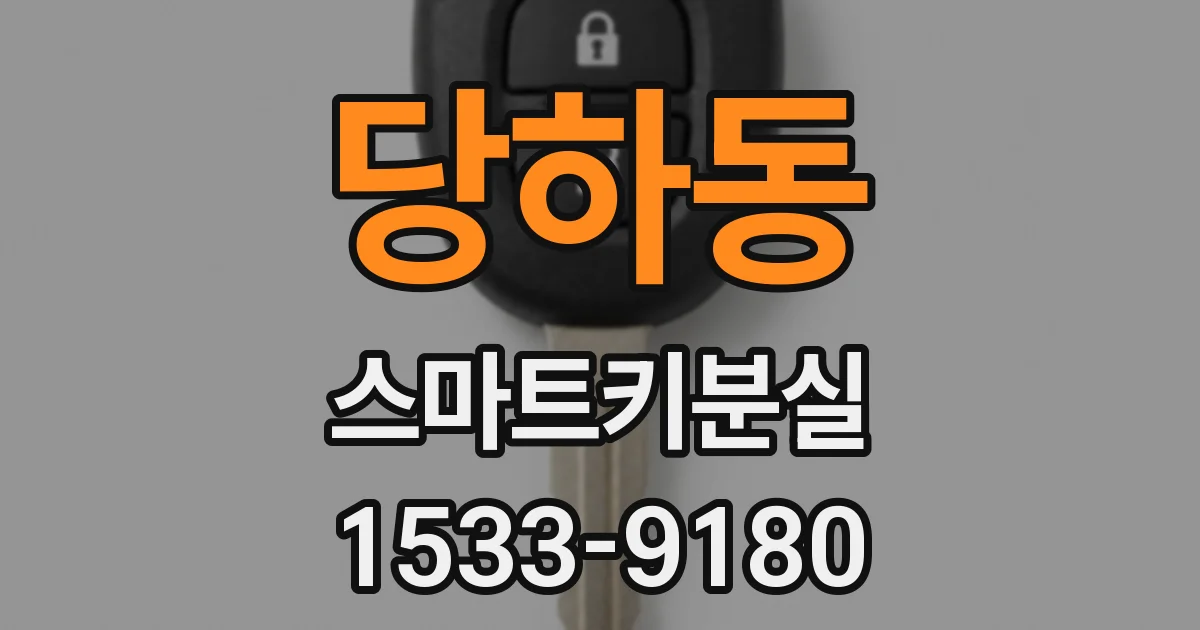 당하동 스마트키분실