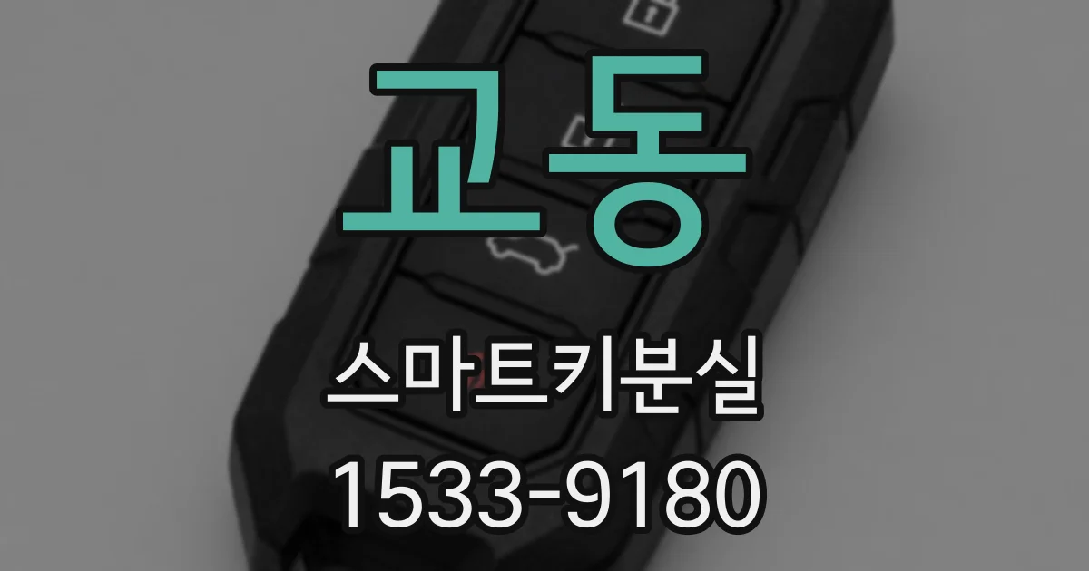 교동 스마트키분실