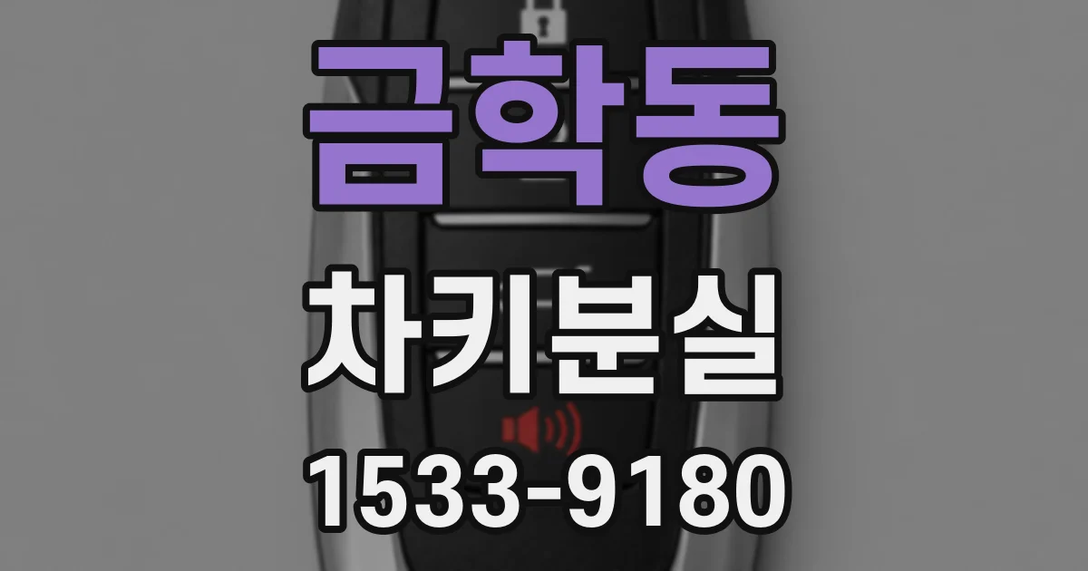 금학동 차키분실
