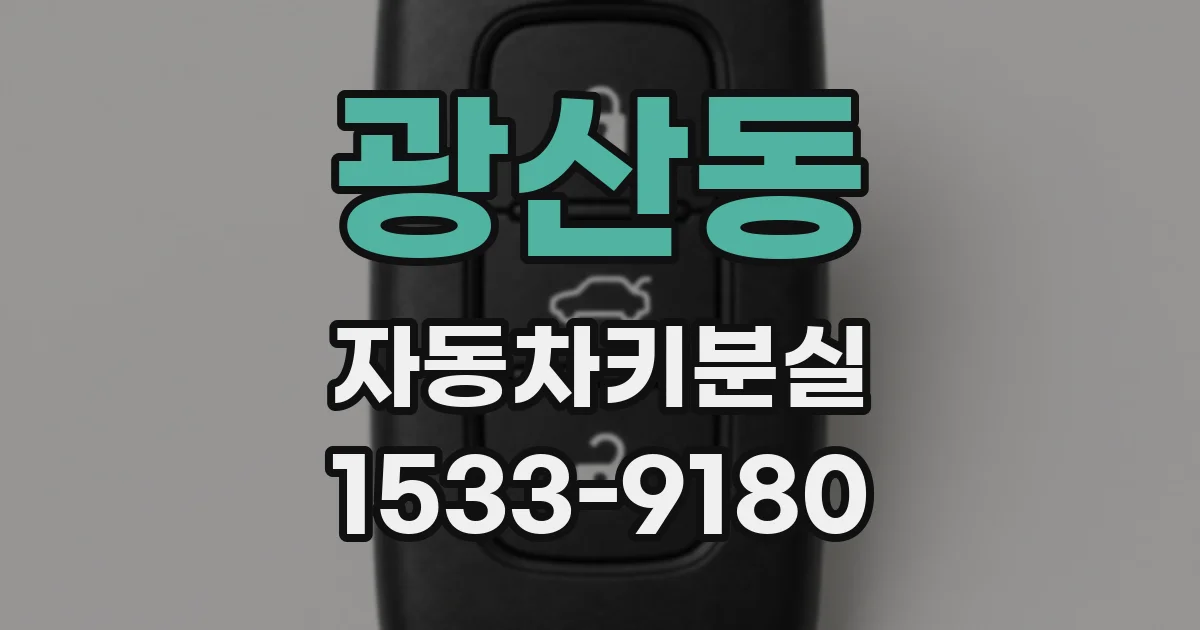 광산동 자동차키분실