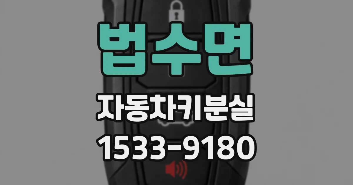 법수면 자동차키분실