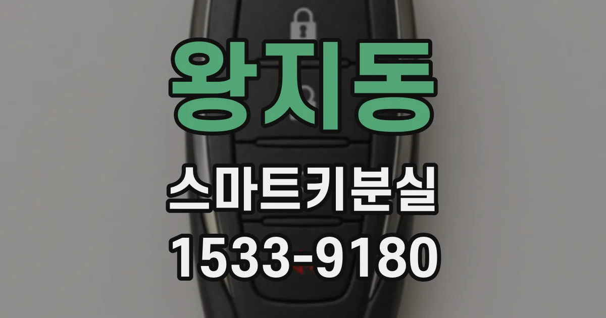 왕지동 스마트키분실