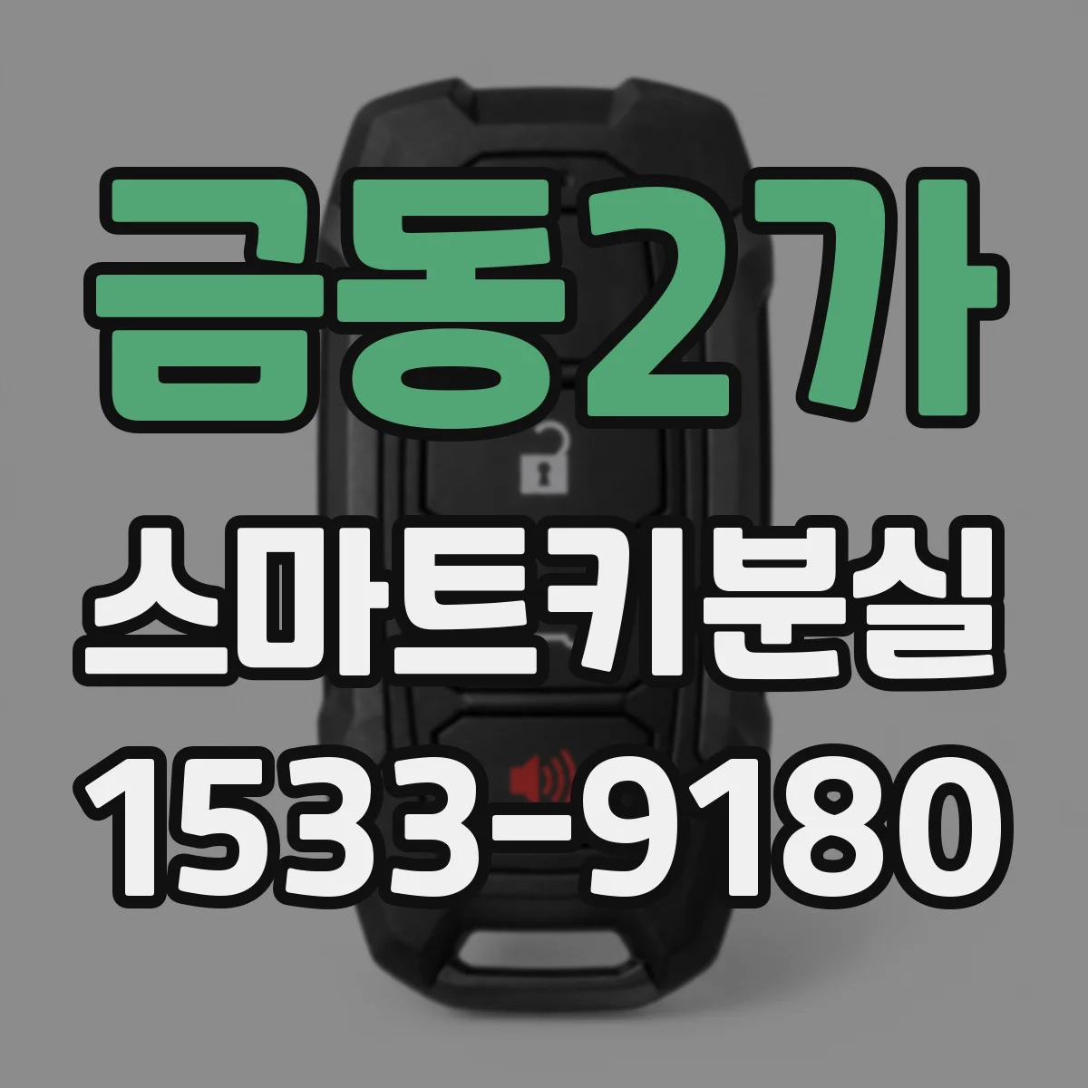 금동2가 스마트키분실