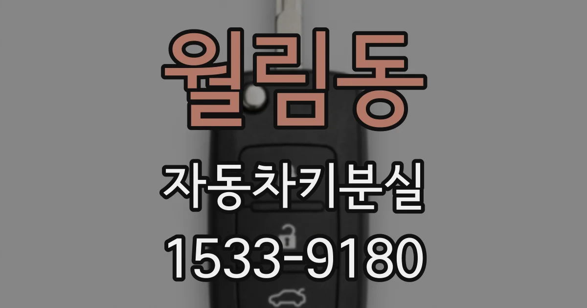 월림동 자동차키분실