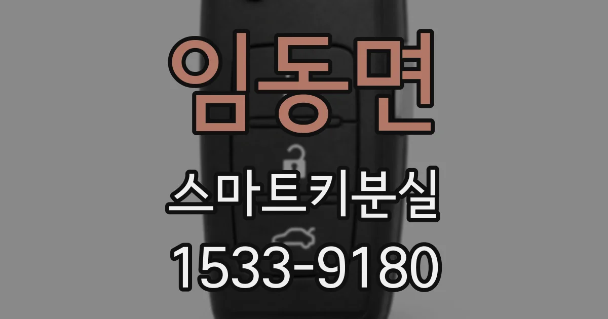 임동면 스마트키분실