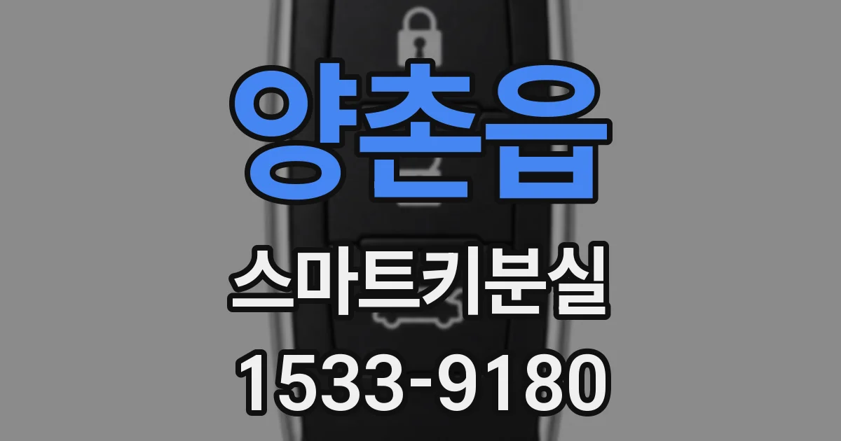 양촌읍 스마트키분실