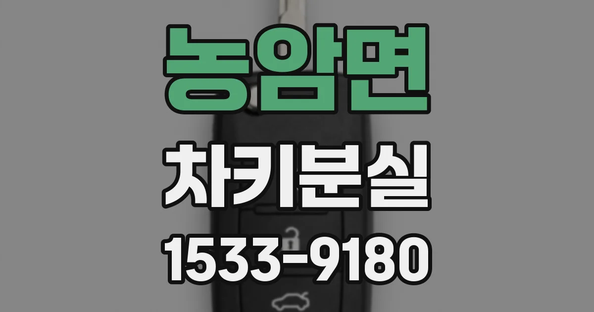 농암면 차키분실