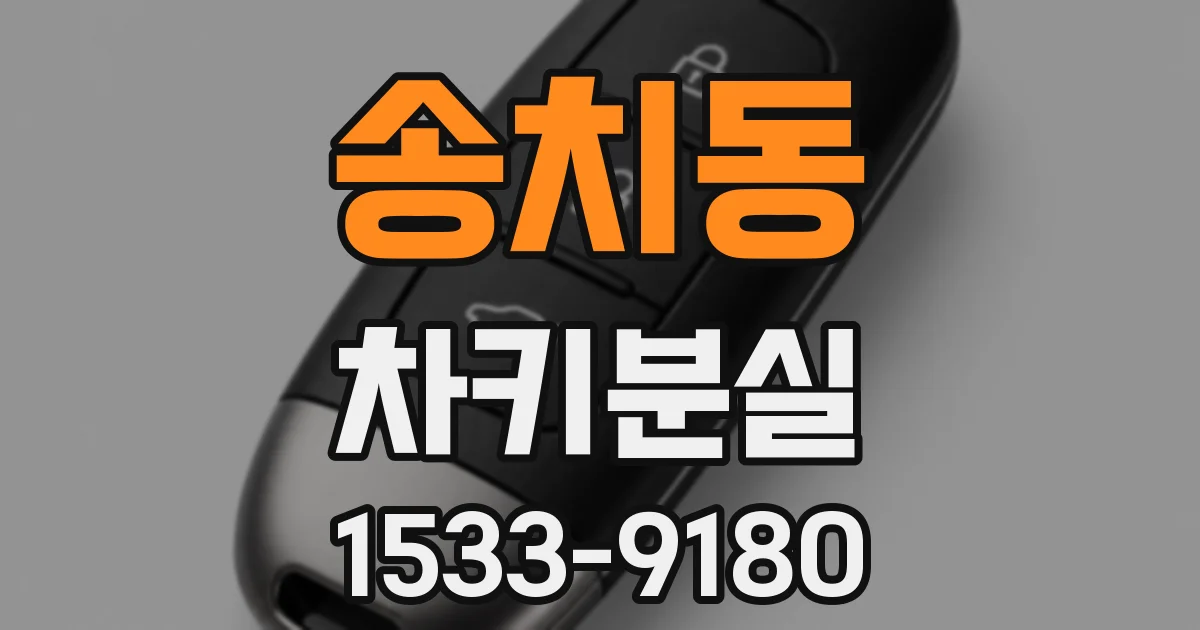 송치동 차키분실