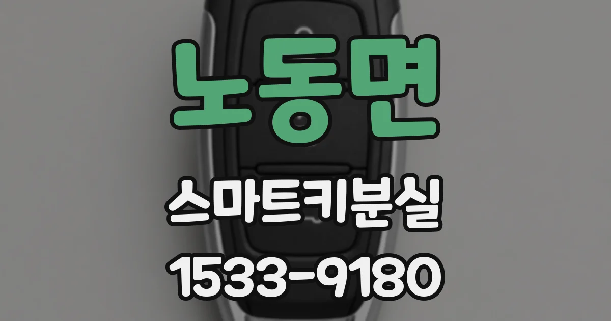 노동면 스마트키분실