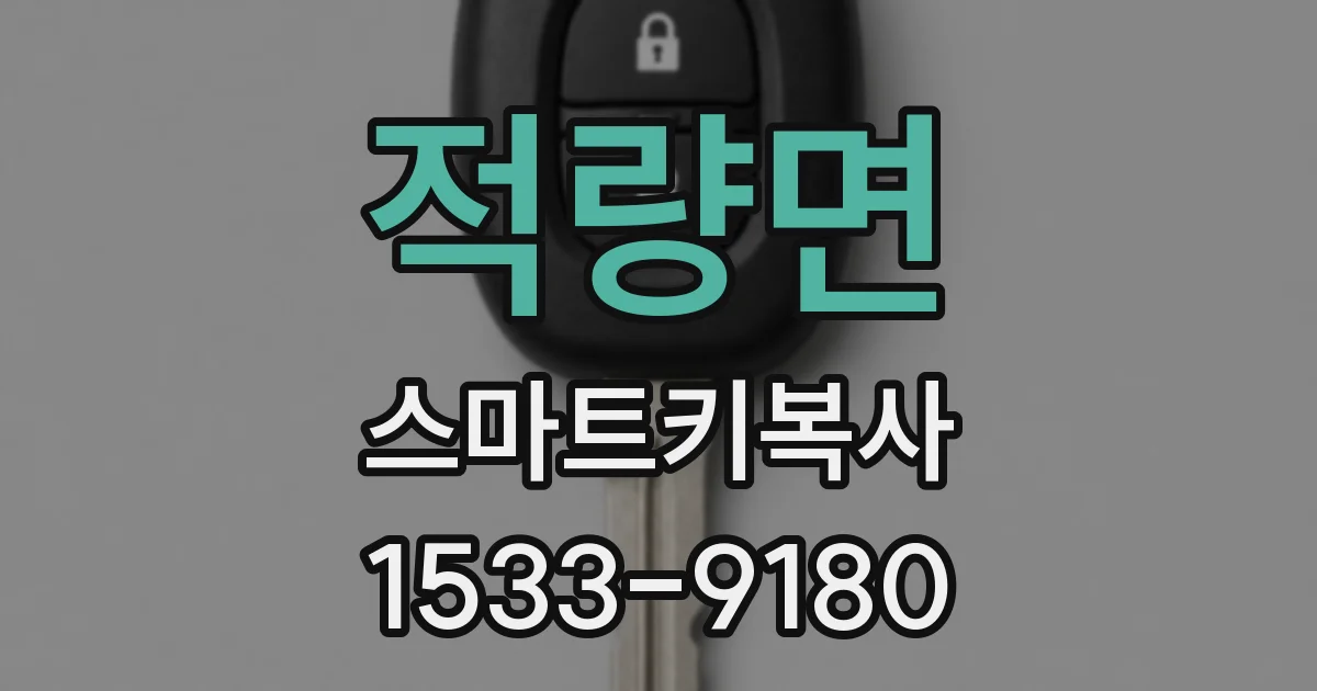 적량면 스마트키복사