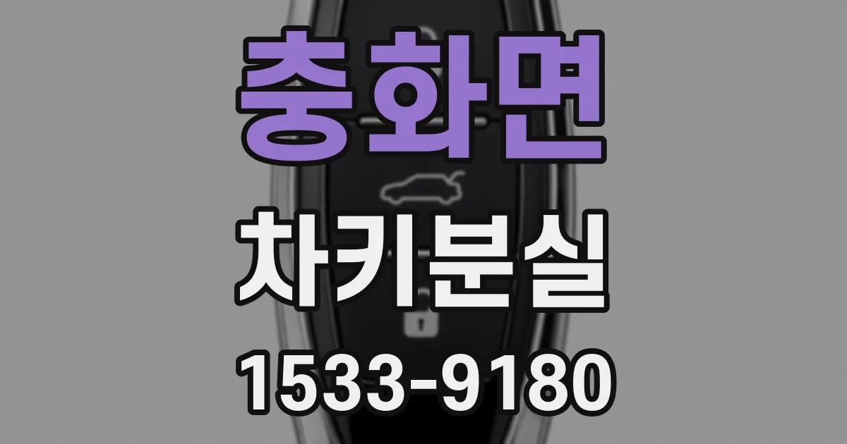 충화면 차키분실