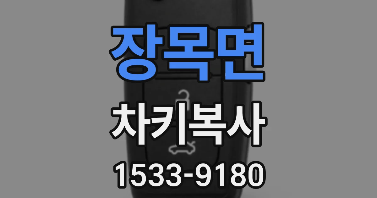 장목면 차키복사