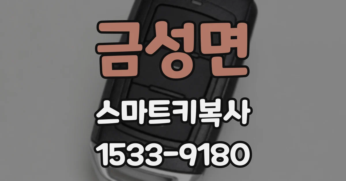 금성면 스마트키복사