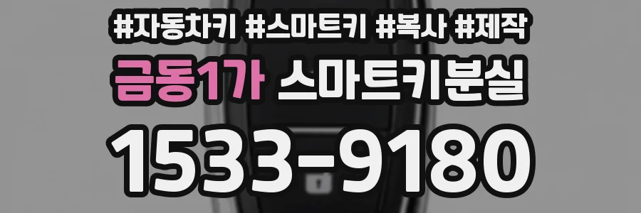 금동1가 스마트키분실