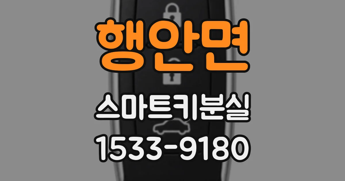 행안면 스마트키분실
