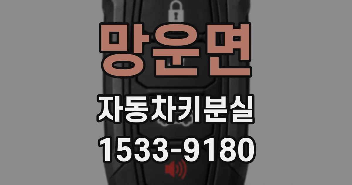 망운면 자동차키분실