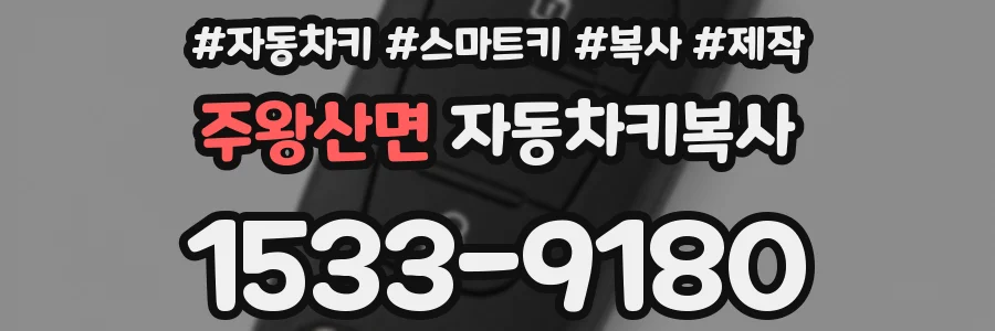 주왕산면 자동차키복사