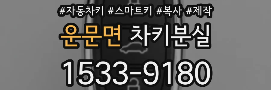 운문면 차키분실