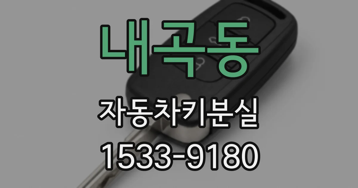 내곡동 자동차키분실