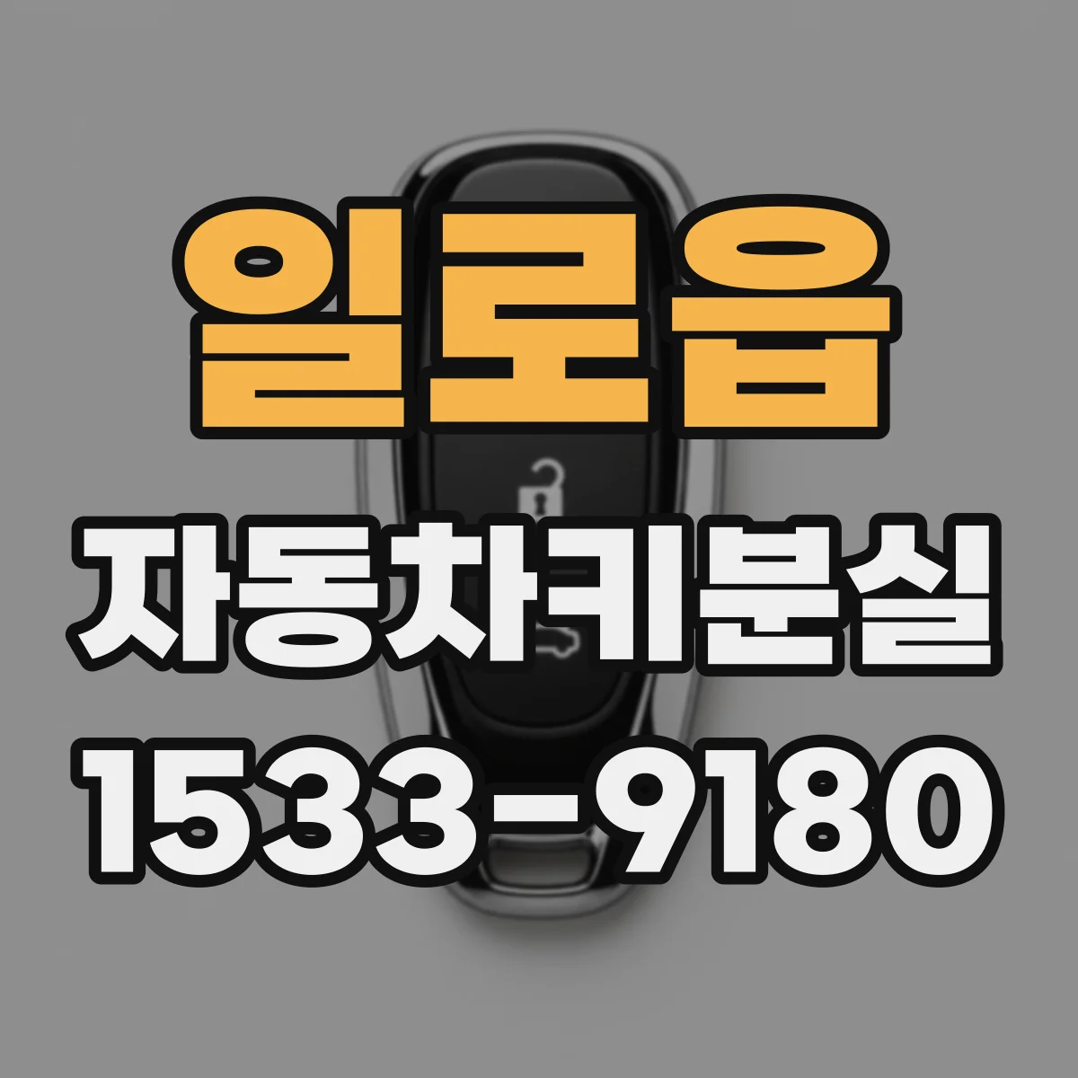 일로읍 자동차키분실