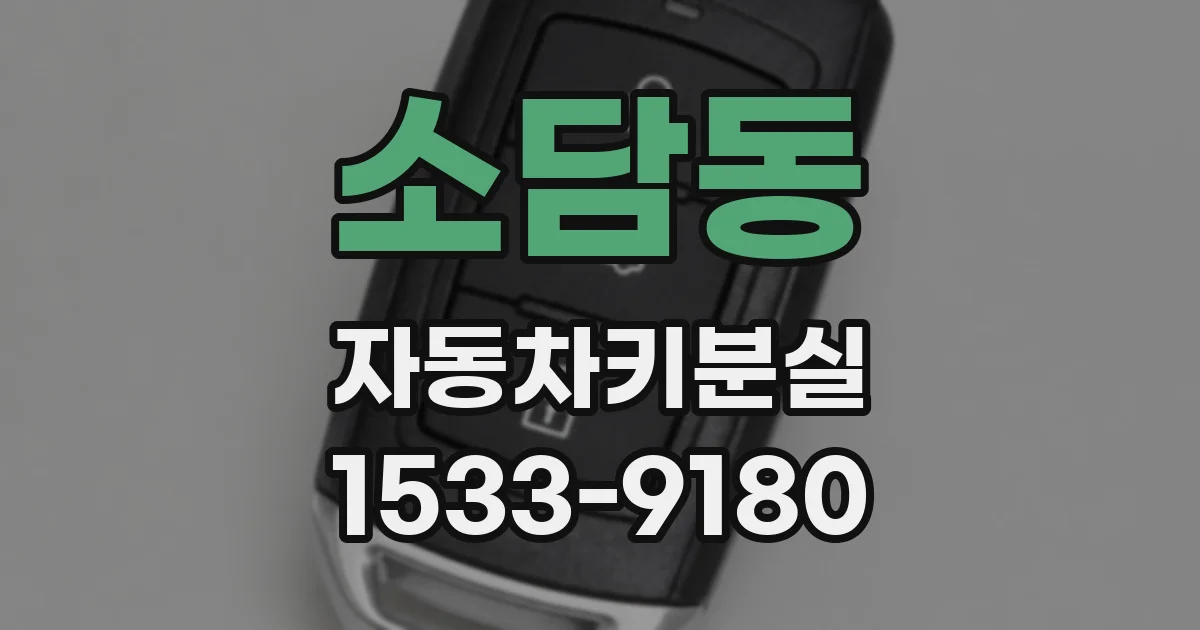 소담동 자동차키분실