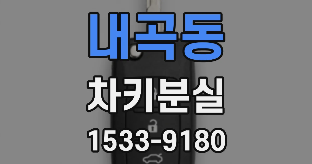 내곡동 차키분실