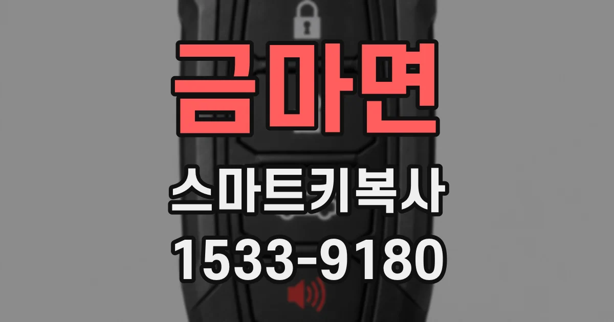 금마면 스마트키복사