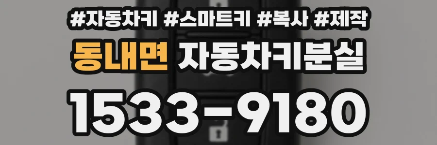 동내면 자동차키분실