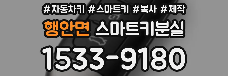 행안면 스마트키분실