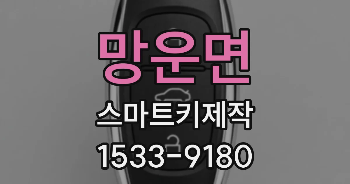 망운면 스마트키제작