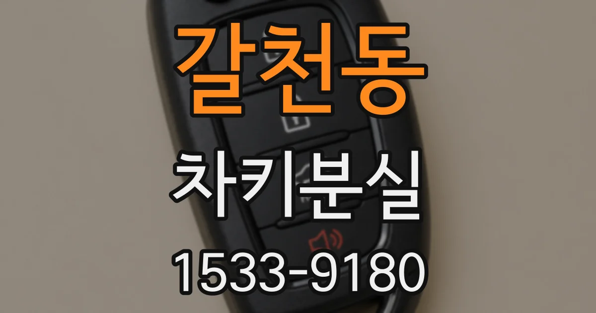 갈천동 차키분실