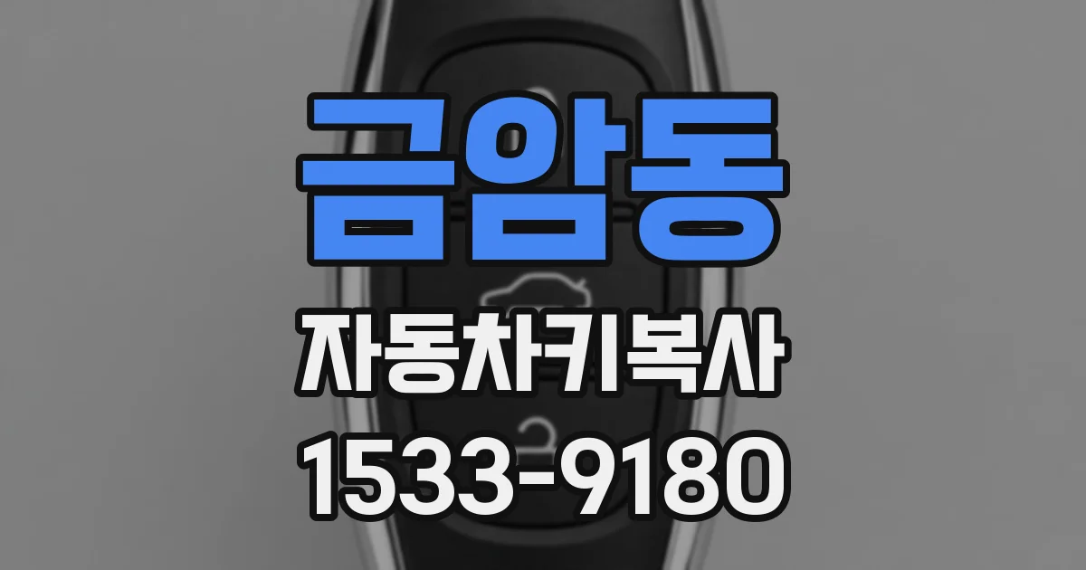 금암동 자동차키복사