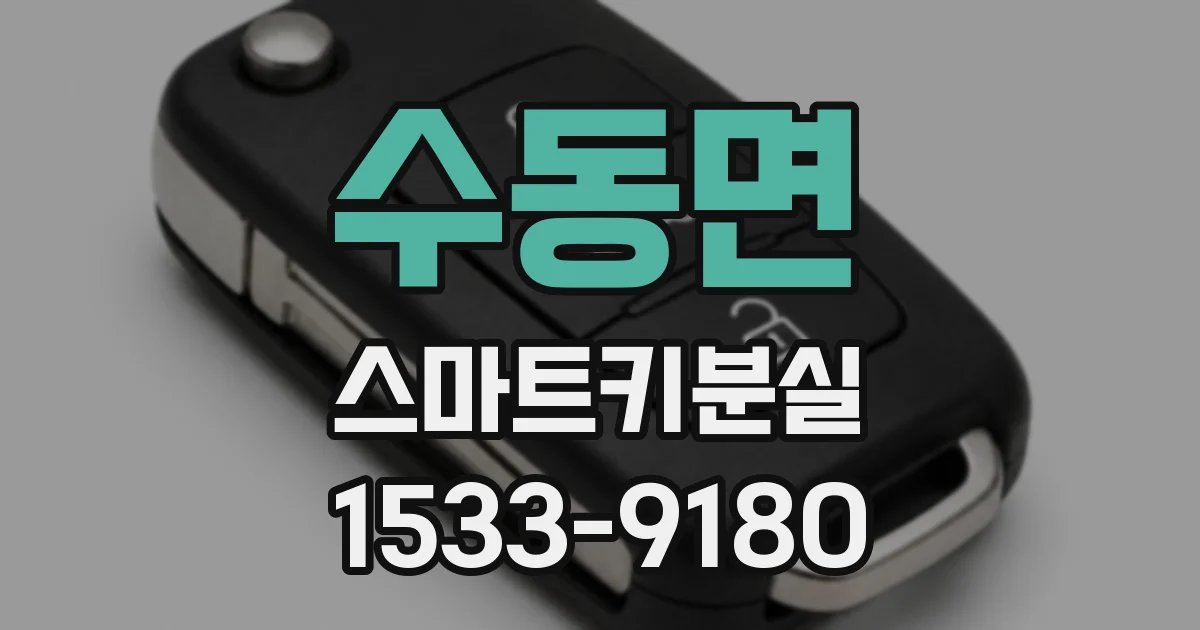 수동면 스마트키분실