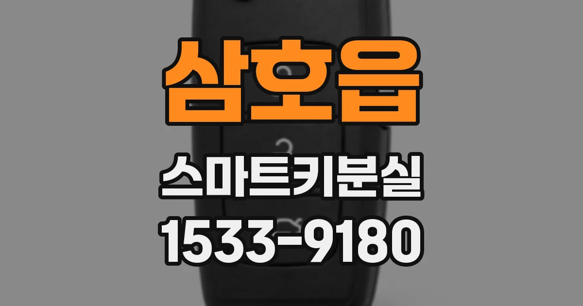 삼호읍 스마트키분실