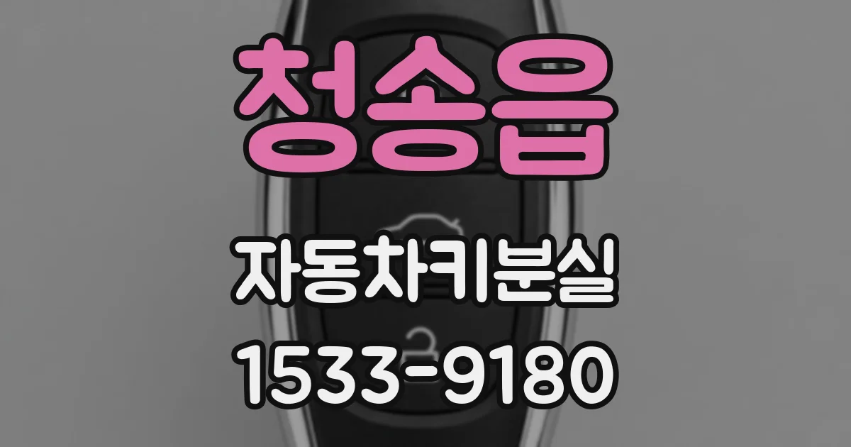 청송읍 자동차키분실