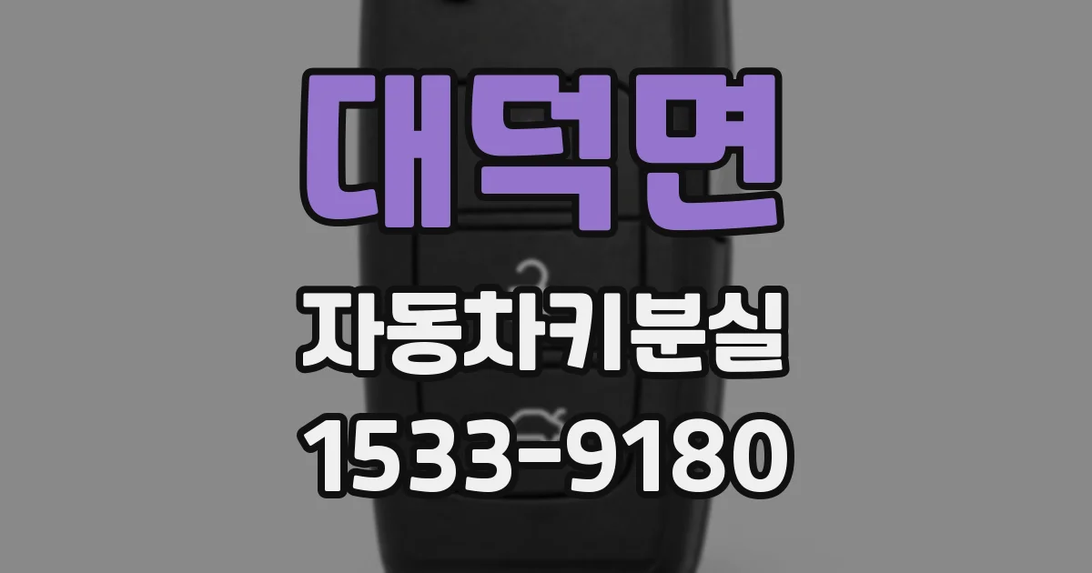 대덕면 자동차키분실