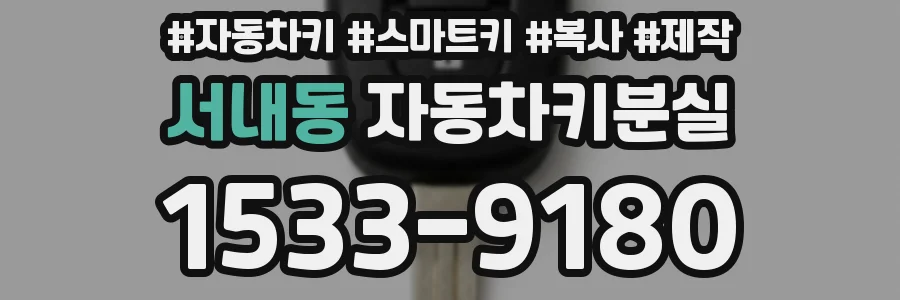 서내동 자동차키분실