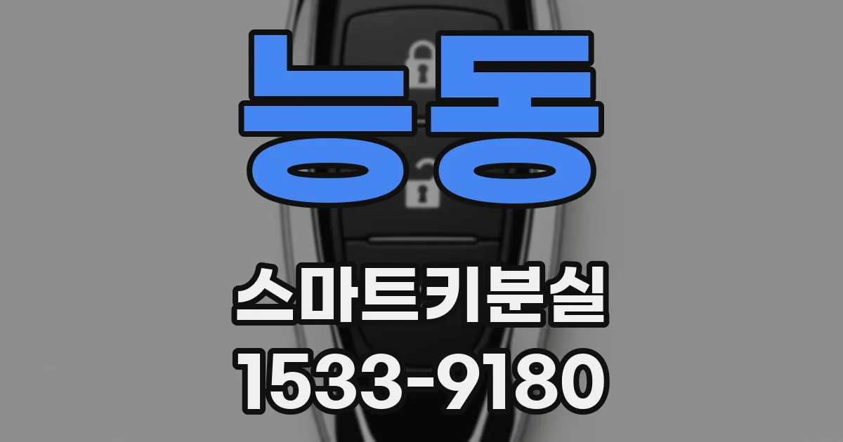 능동 스마트키분실