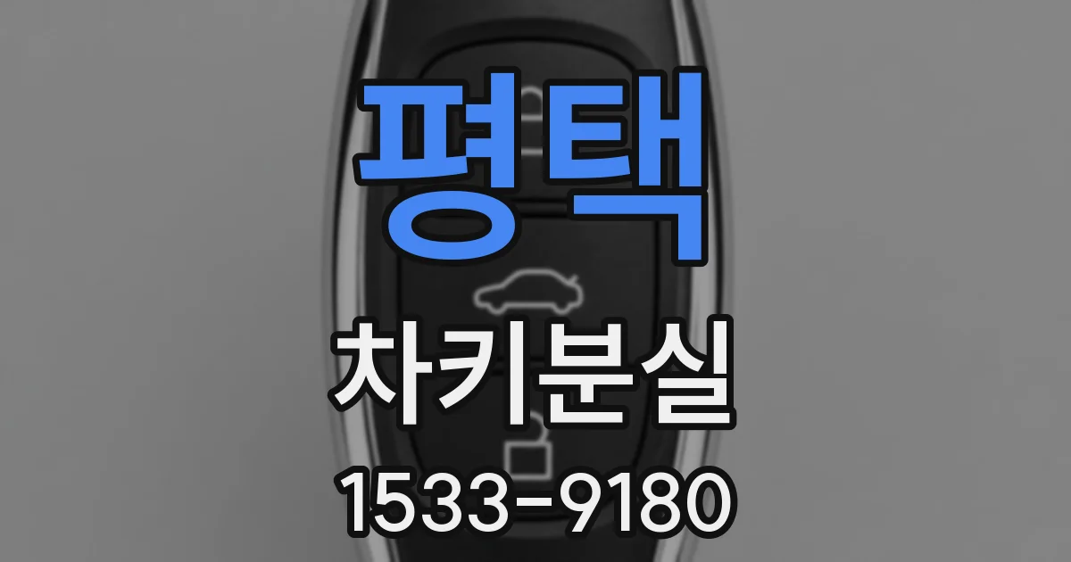 평택 차키분실