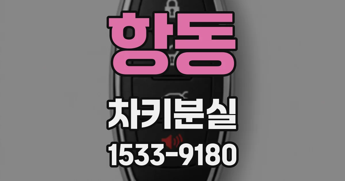 항동 차키분실