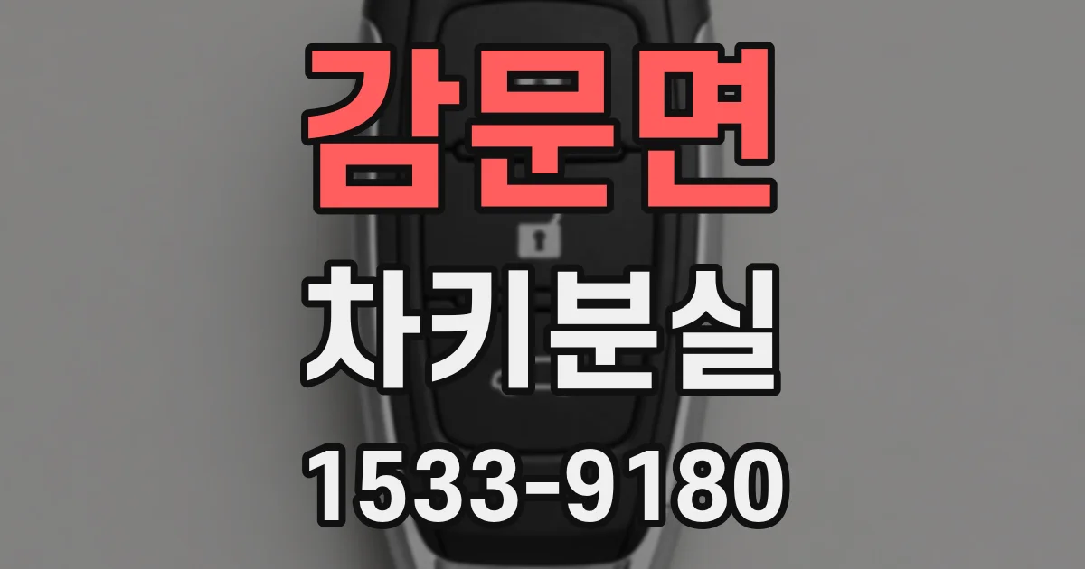 감문면 차키분실