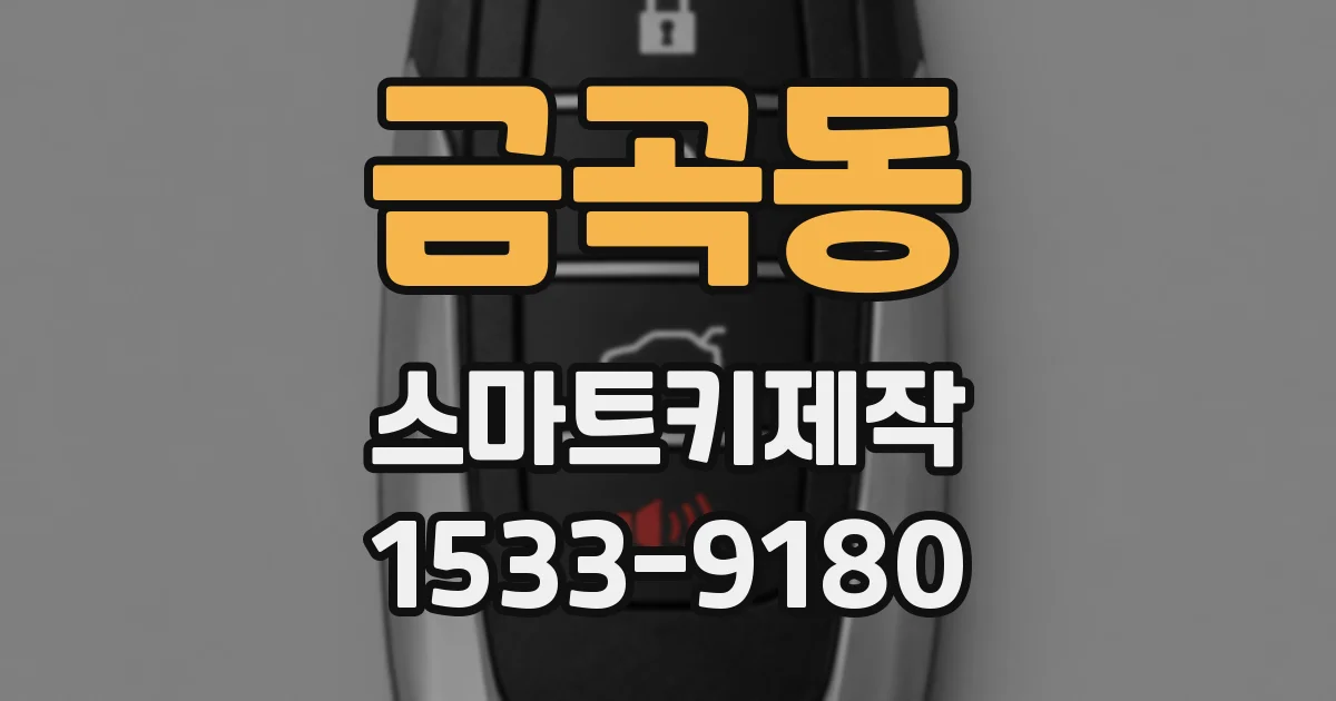 금곡동 스마트키제작